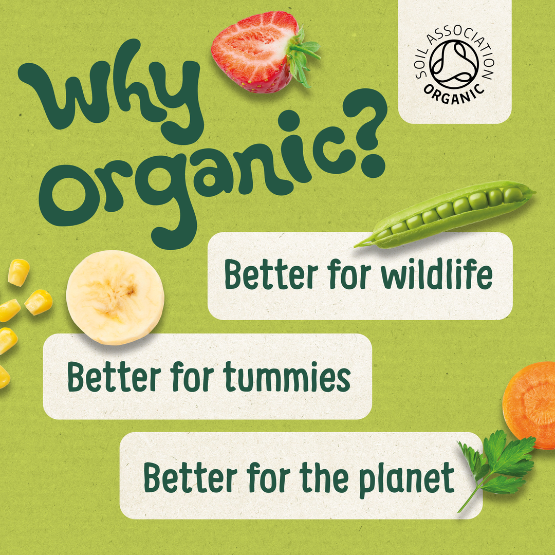 Fruit and veg spread around the image and wording labels reding why organic