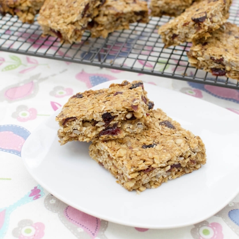 Date & Cranberry Seed Bars