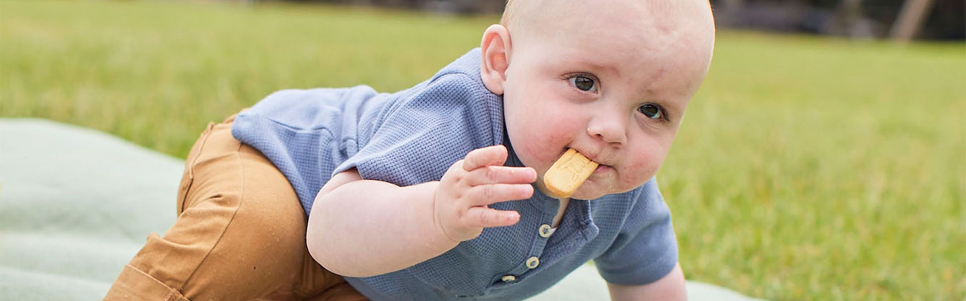 Baby eating a biscuit on a blanket