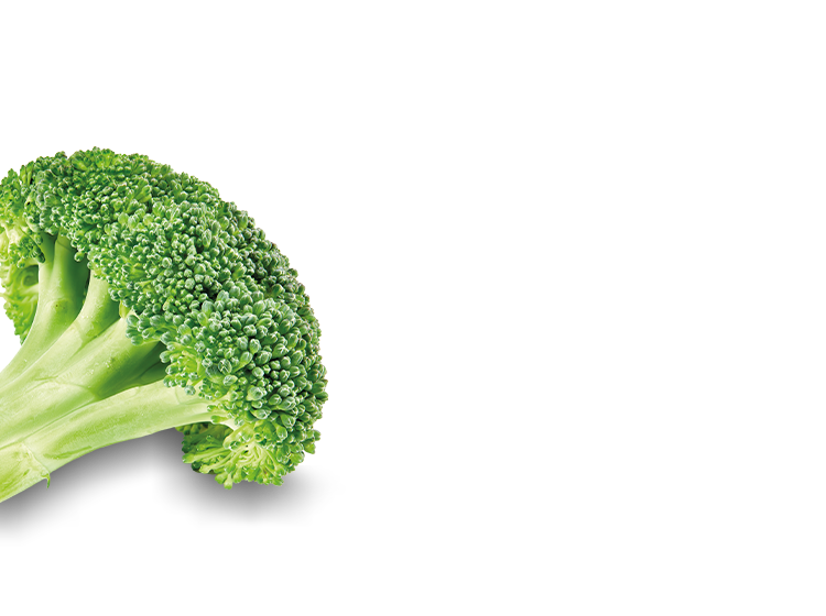 a green broccoli floret