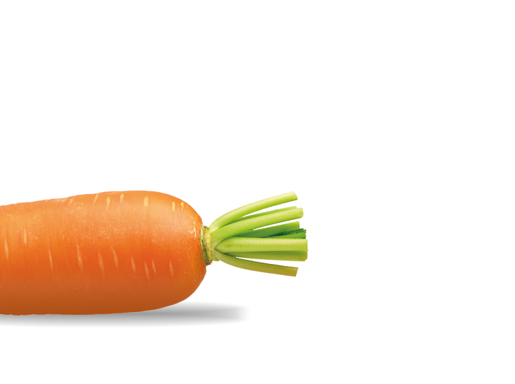 Carrot