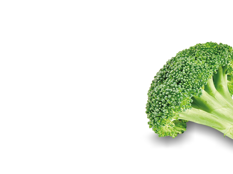 green broccoli floret