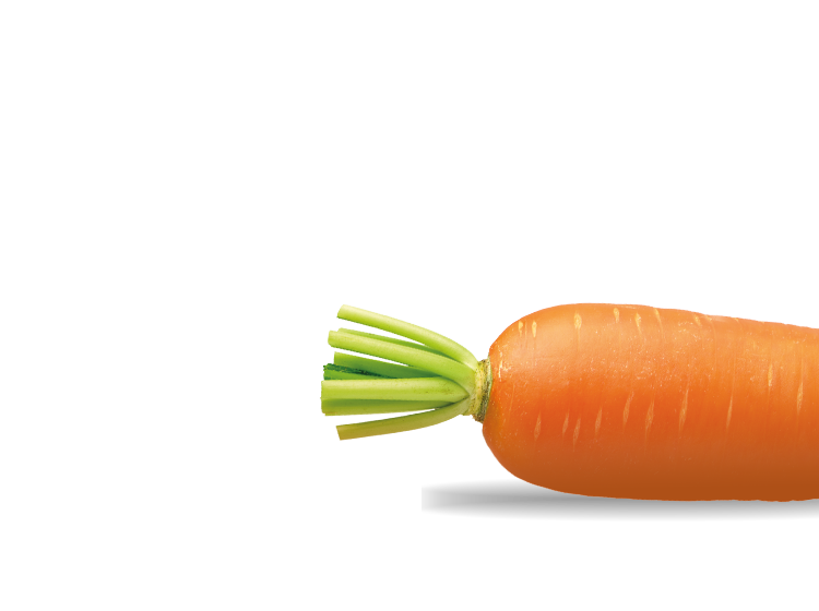 a bright orange carrot