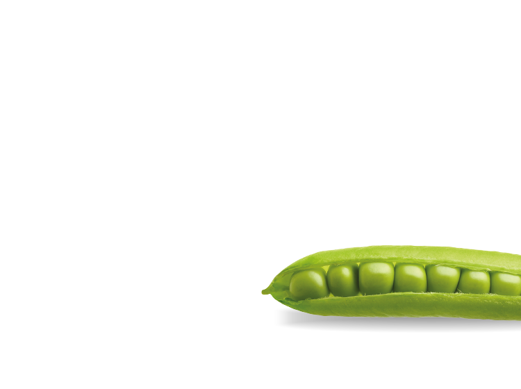 green peas in an open pod 