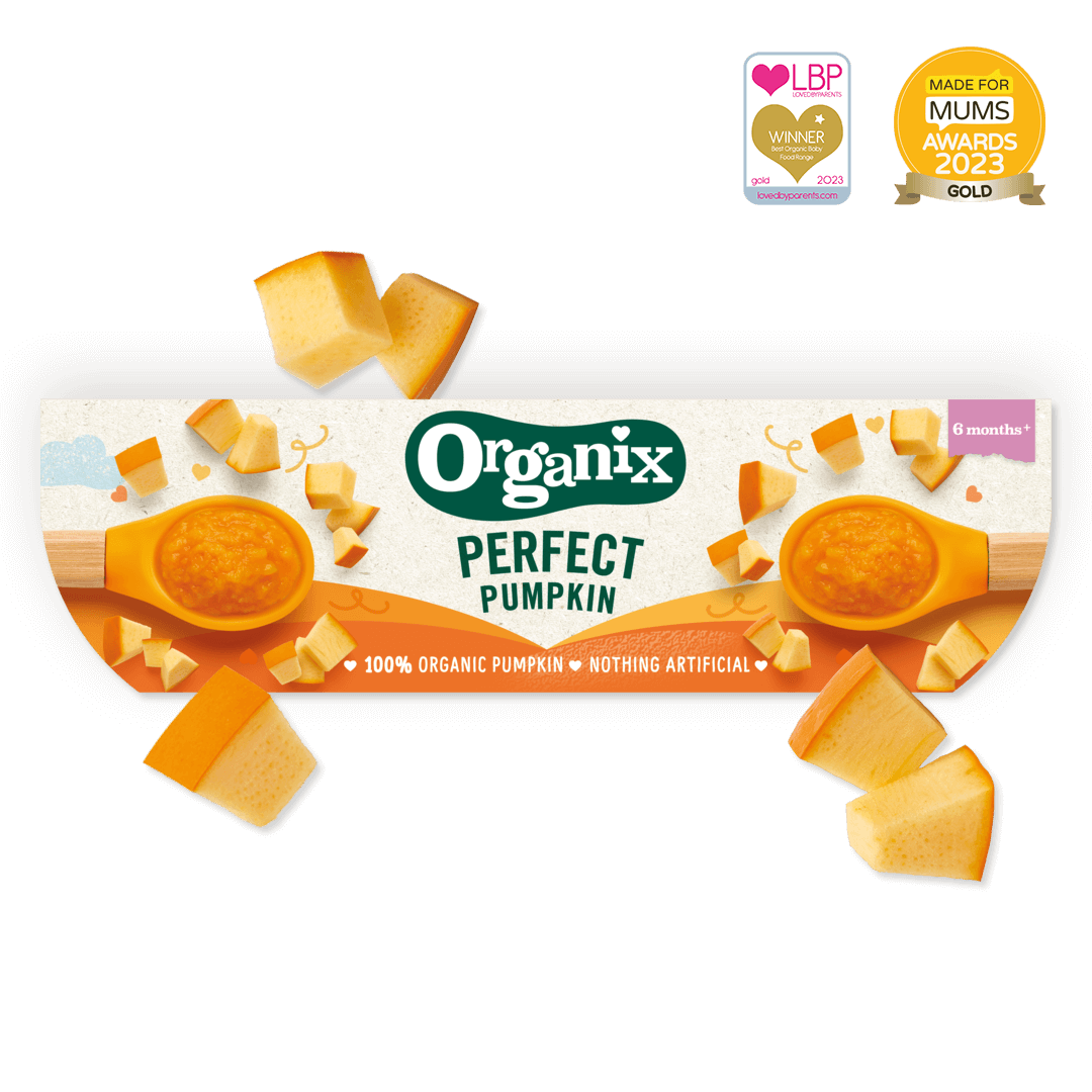 Product image showing the packaging of the Organix perfect pumpkin