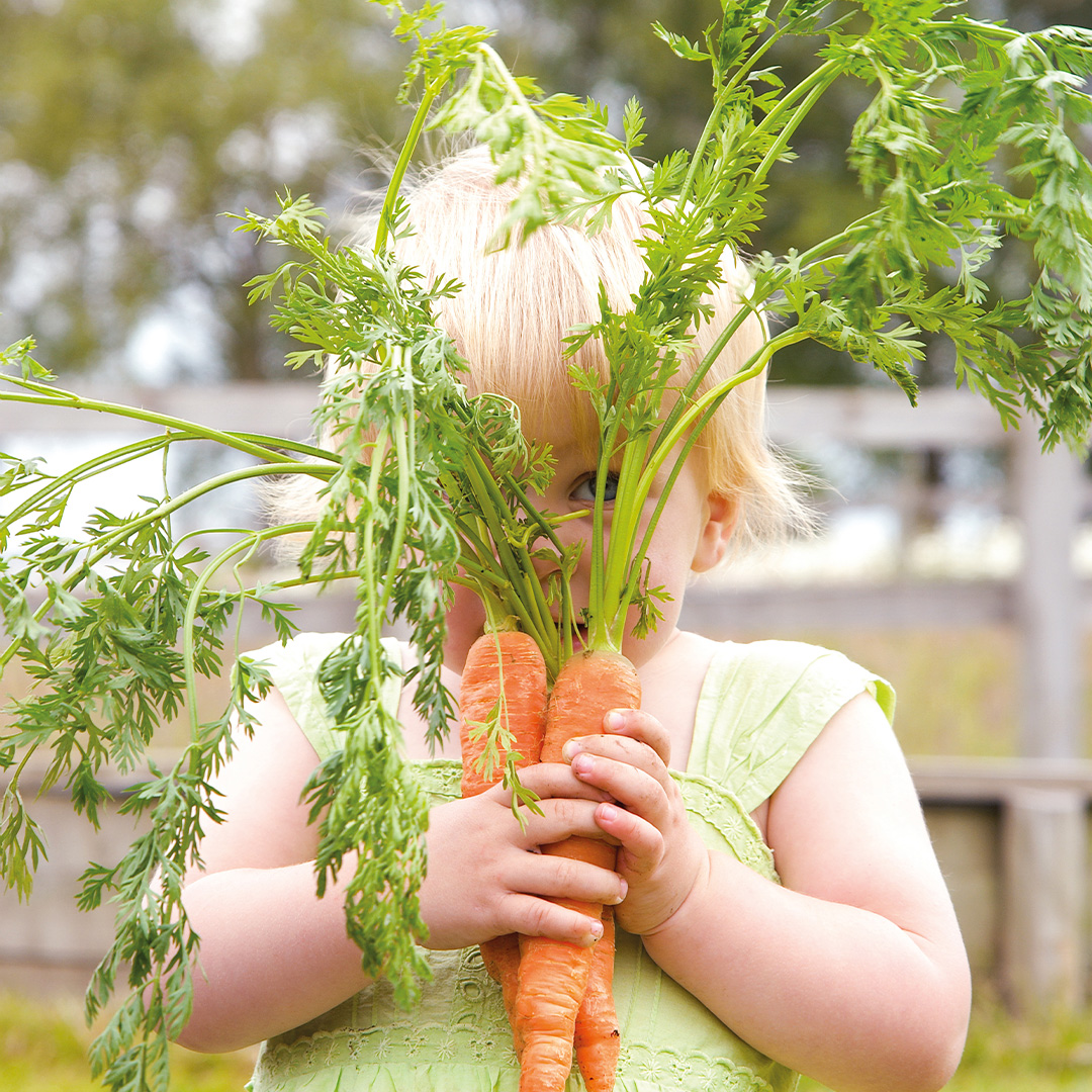 Toddler Girl hiding behind a large carrot with leaves