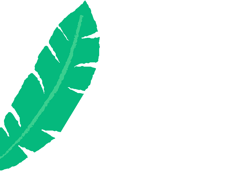 Cartoon illustrated green banana leaf with textured edges