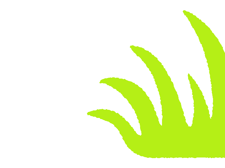 Cartoon illustrated green grass with textured edges
