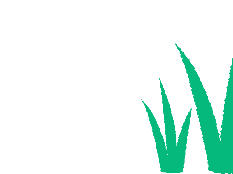 illustrated green grass