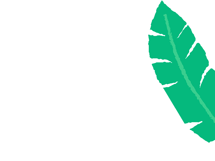 illustrated cartoon banana leaf with textured edges 