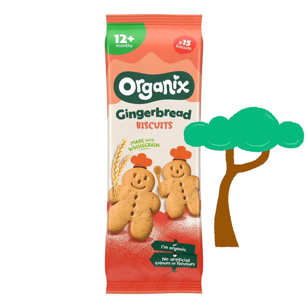 Gingerbread Biscuits