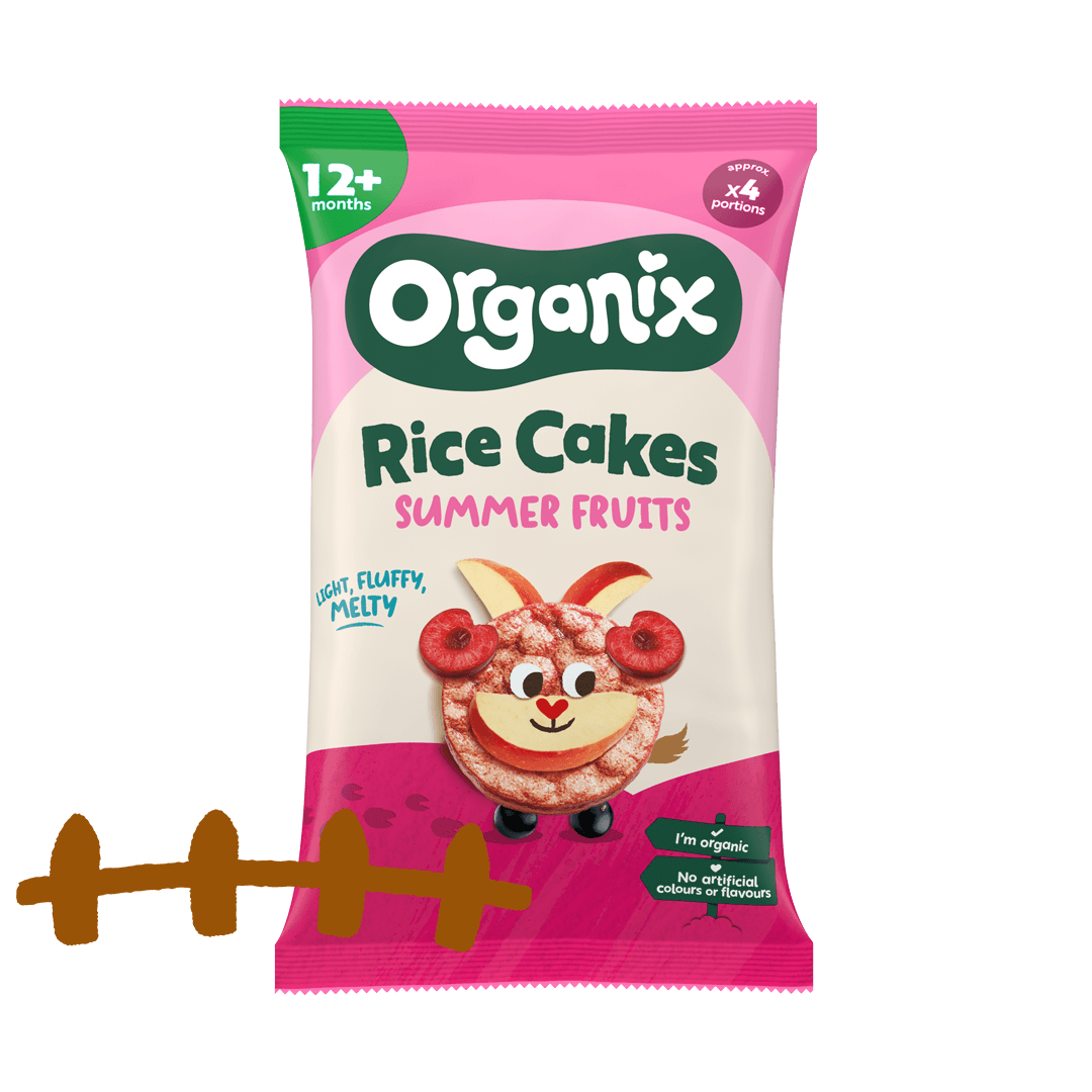 Rice Cakes - Summer Fruits 